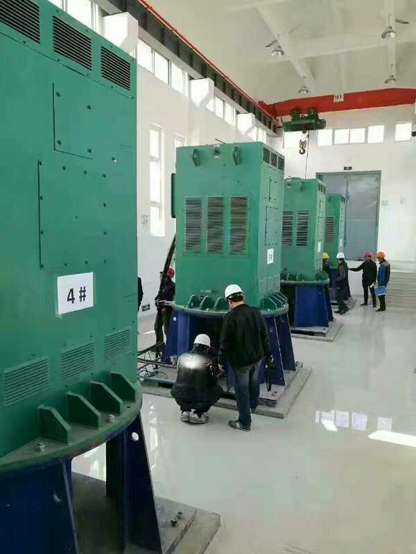 吉阳镇某污水处理厂使用我厂的立式高压电机安装现场